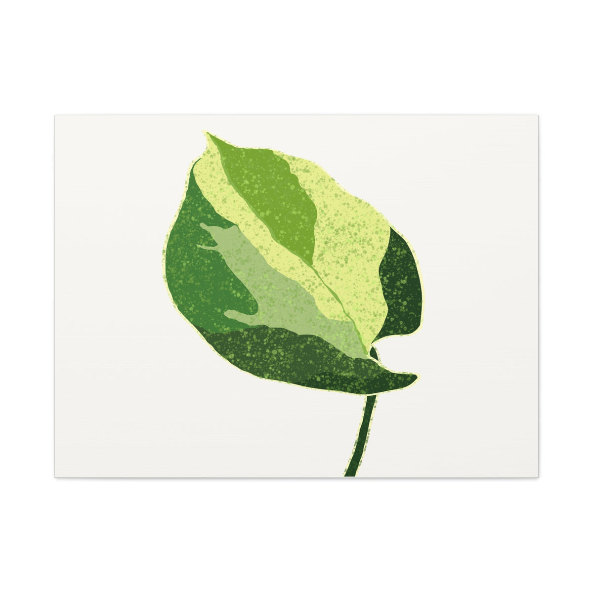 Manjula Pothos Illustrated Canvas Print – Botanical Wall Art, view 6