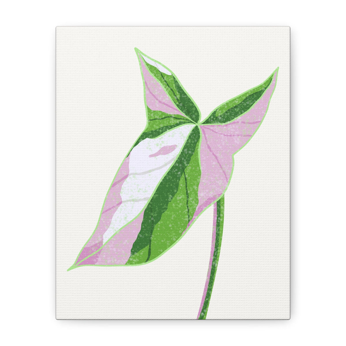 Syngonium Tricolor Canvas Print – Botanical Wall Art, view 8