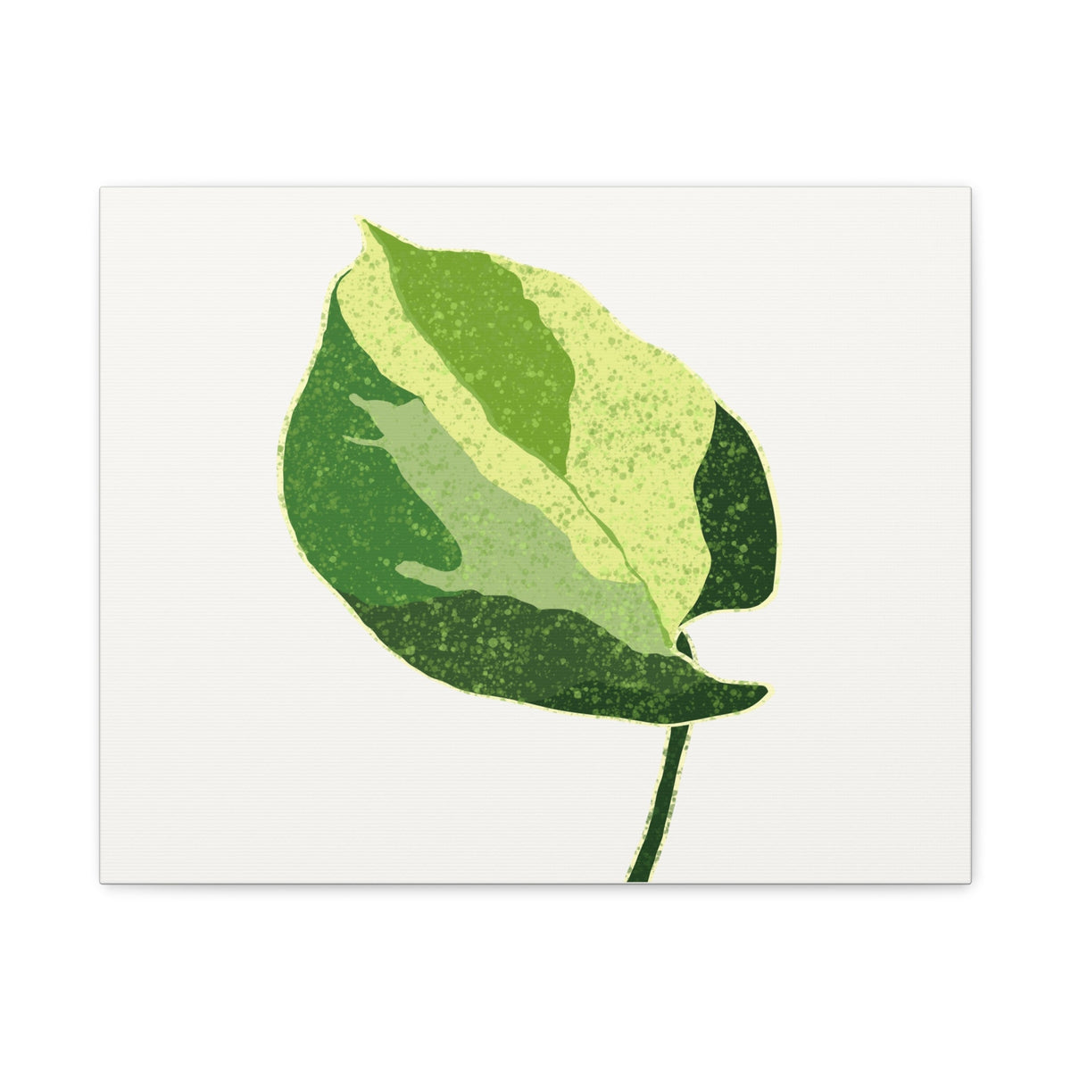 Manjula Pothos Illustrated Canvas Print – Botanical Wall Art, view 3