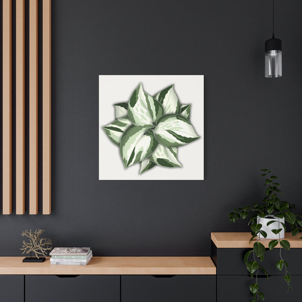 Manjula Pothos Canvas Print – Botanical Wall Art