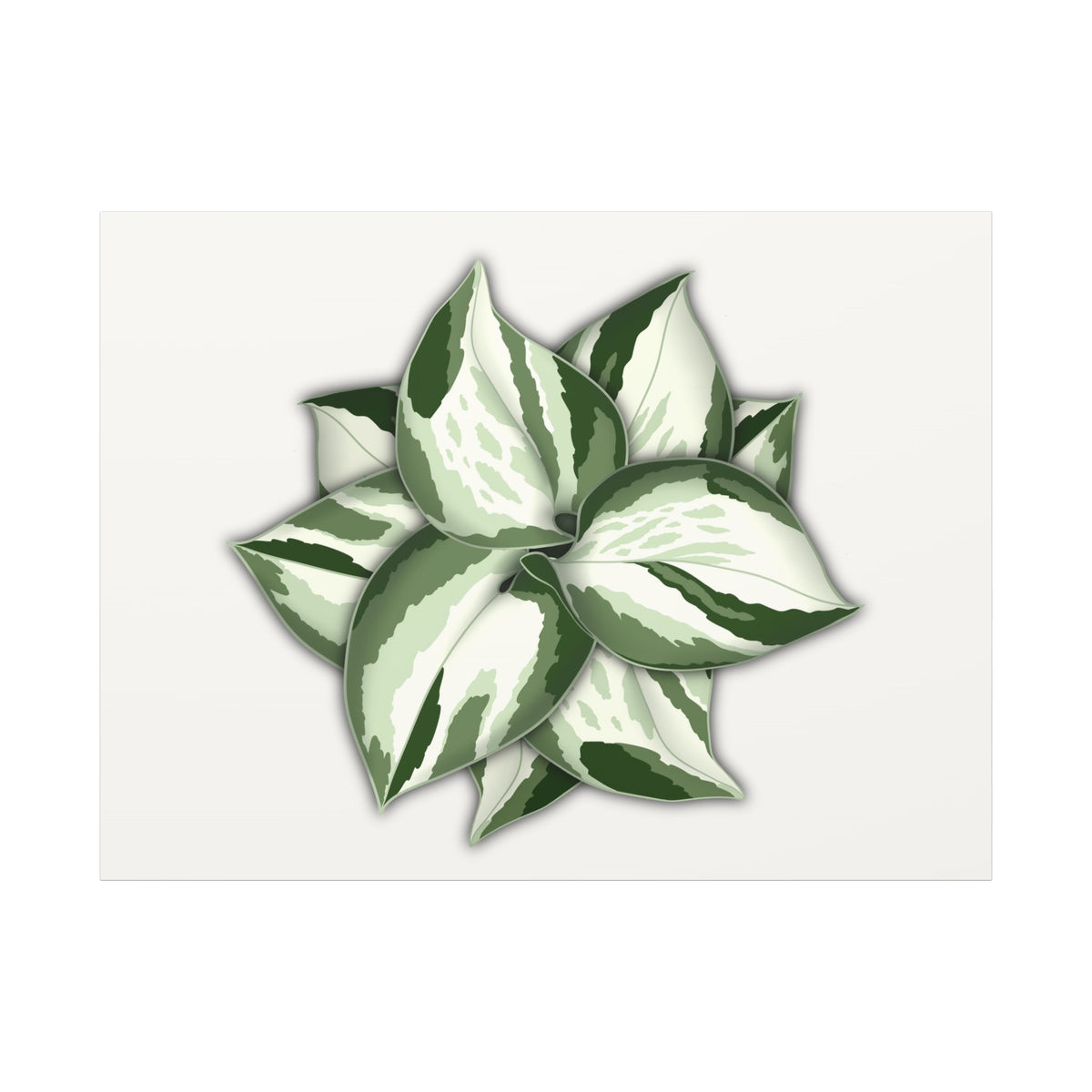 Manjula Pothos Canvas Print – Botanical Wall Art, view 7