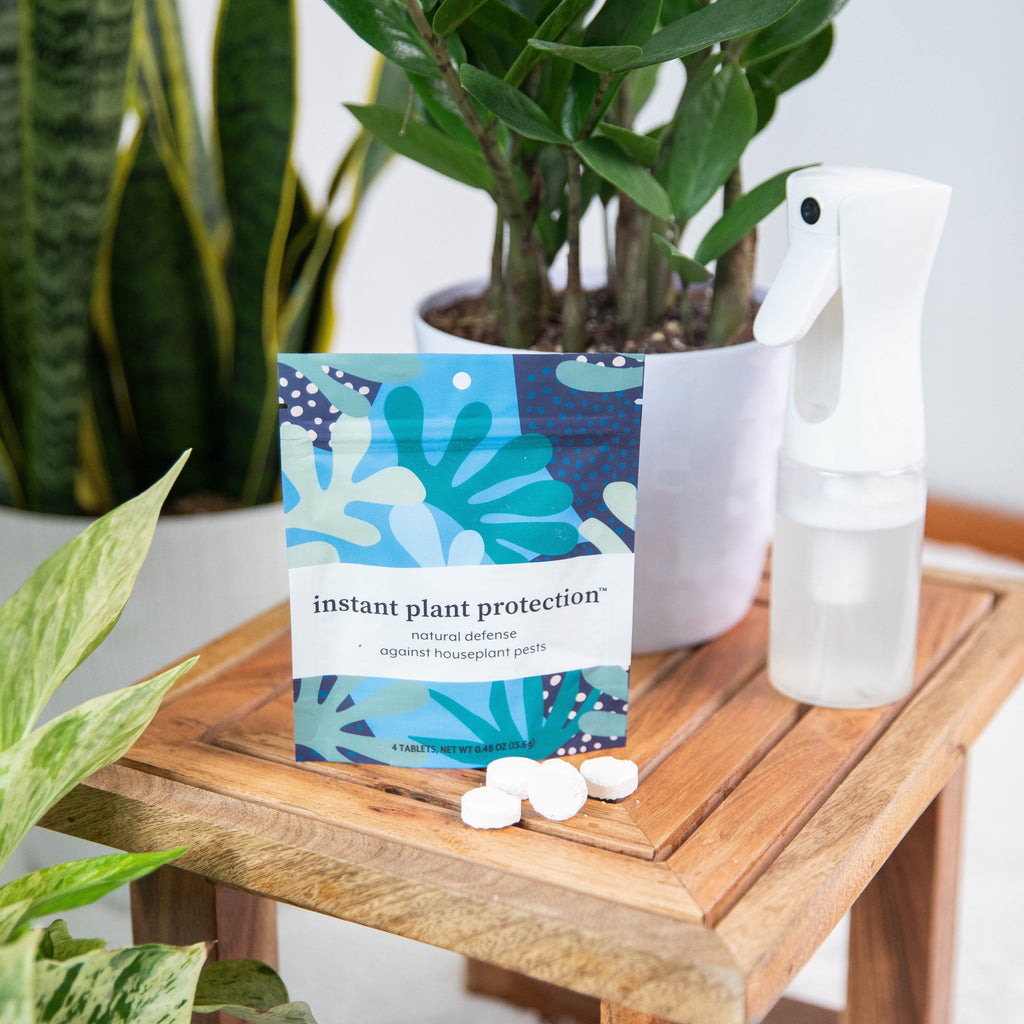 Instant Plant Protection Tablets – 2 Pouches (4 Tablets per Pouch) - Natural Pest Control for HOUSEPLANTS, view 7