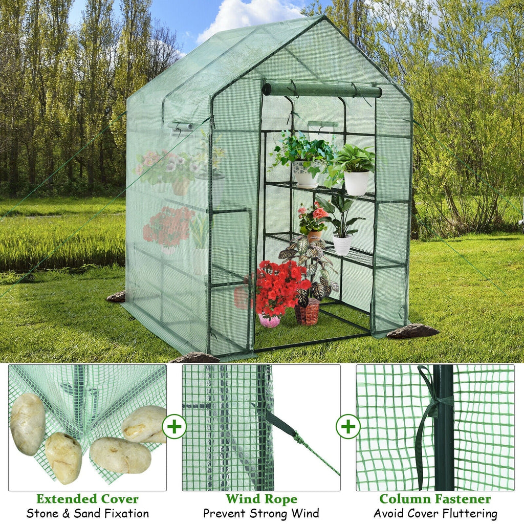 Walk-in Greenhouse 56 x 56 x 77 Inch Gardening with Observation Windows, view 8