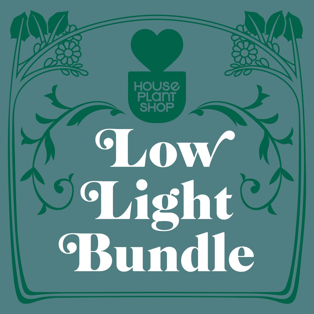 Low Light Bundle, view 2