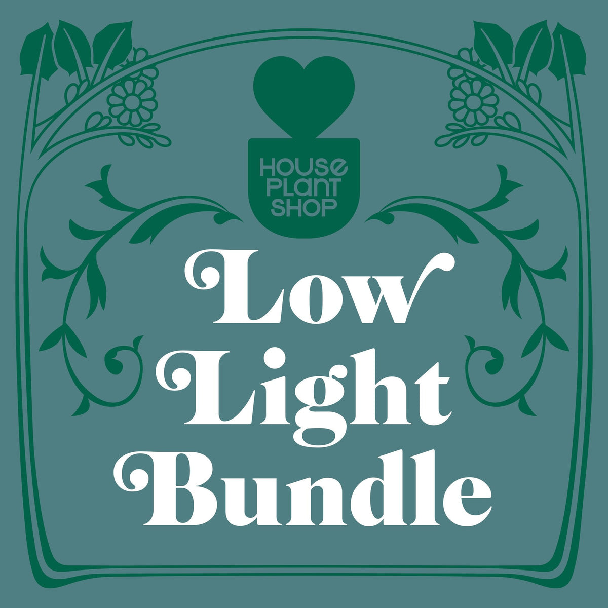 Low Light Bundle, view 2