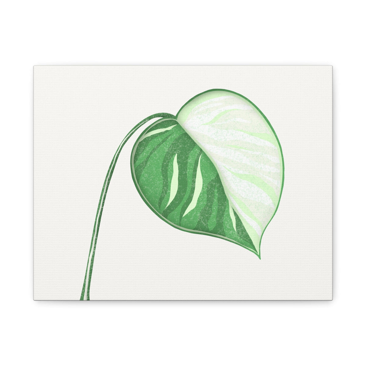 Monstera Albo Canvas Print – Botanical Wall Art, view 2
