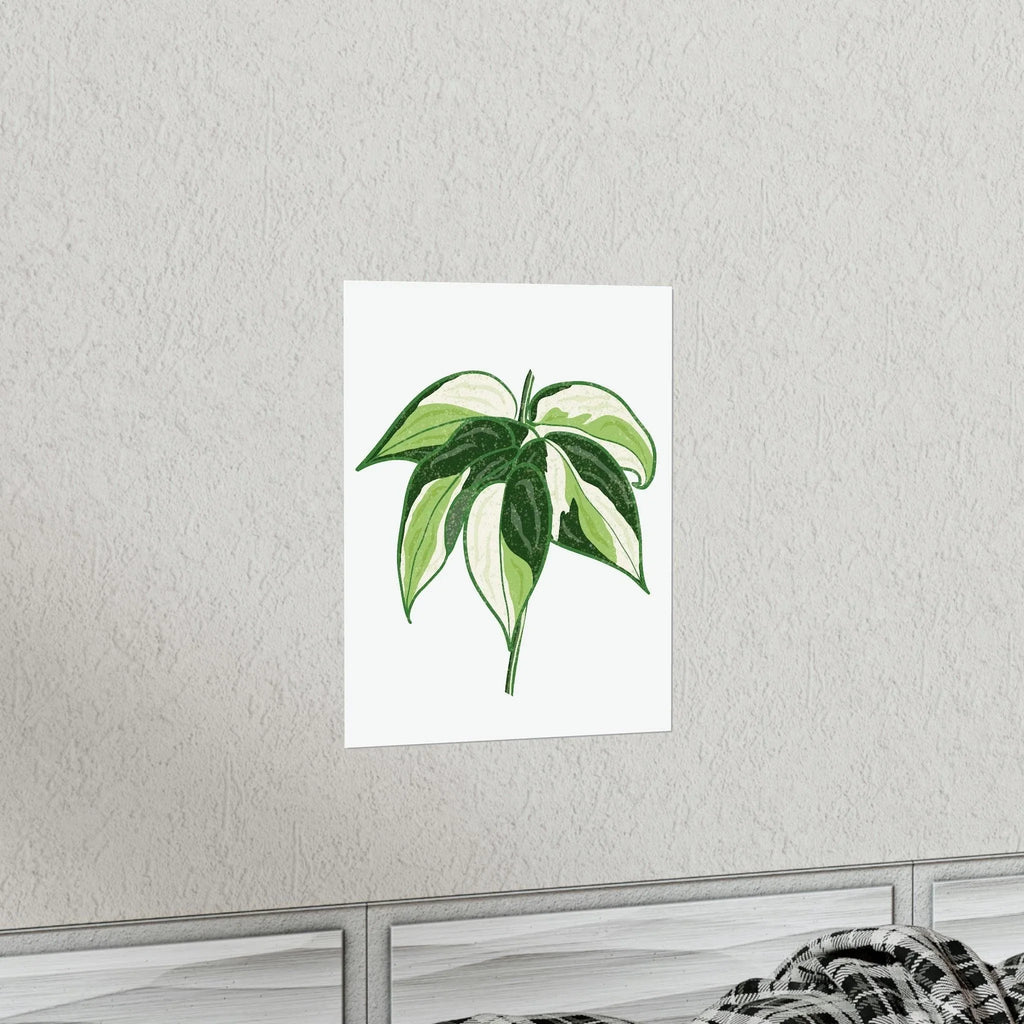 Philodendron Cream Splash Botanical Print – Unframed Wall Art, view 14