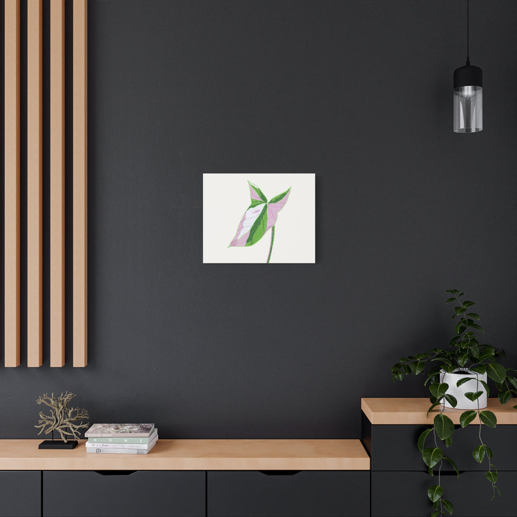 Syngonium Tricolor Canvas Print – Botanical Wall Art