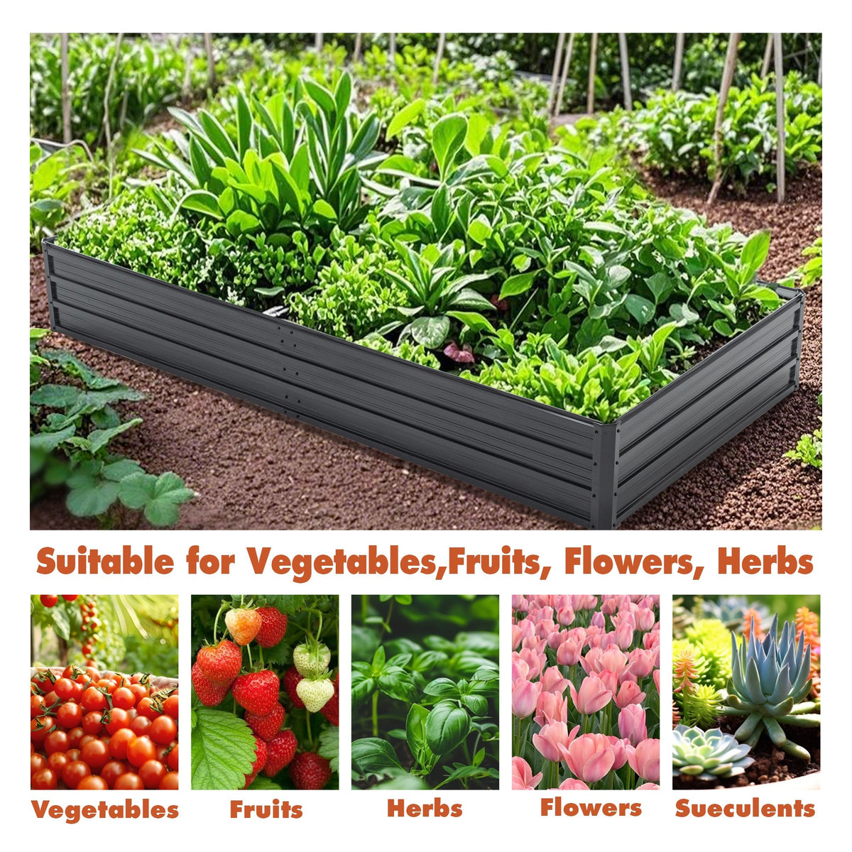 Galvanized Raised Garden Beds Outdoor 8×4×1 ft Planter, view 4