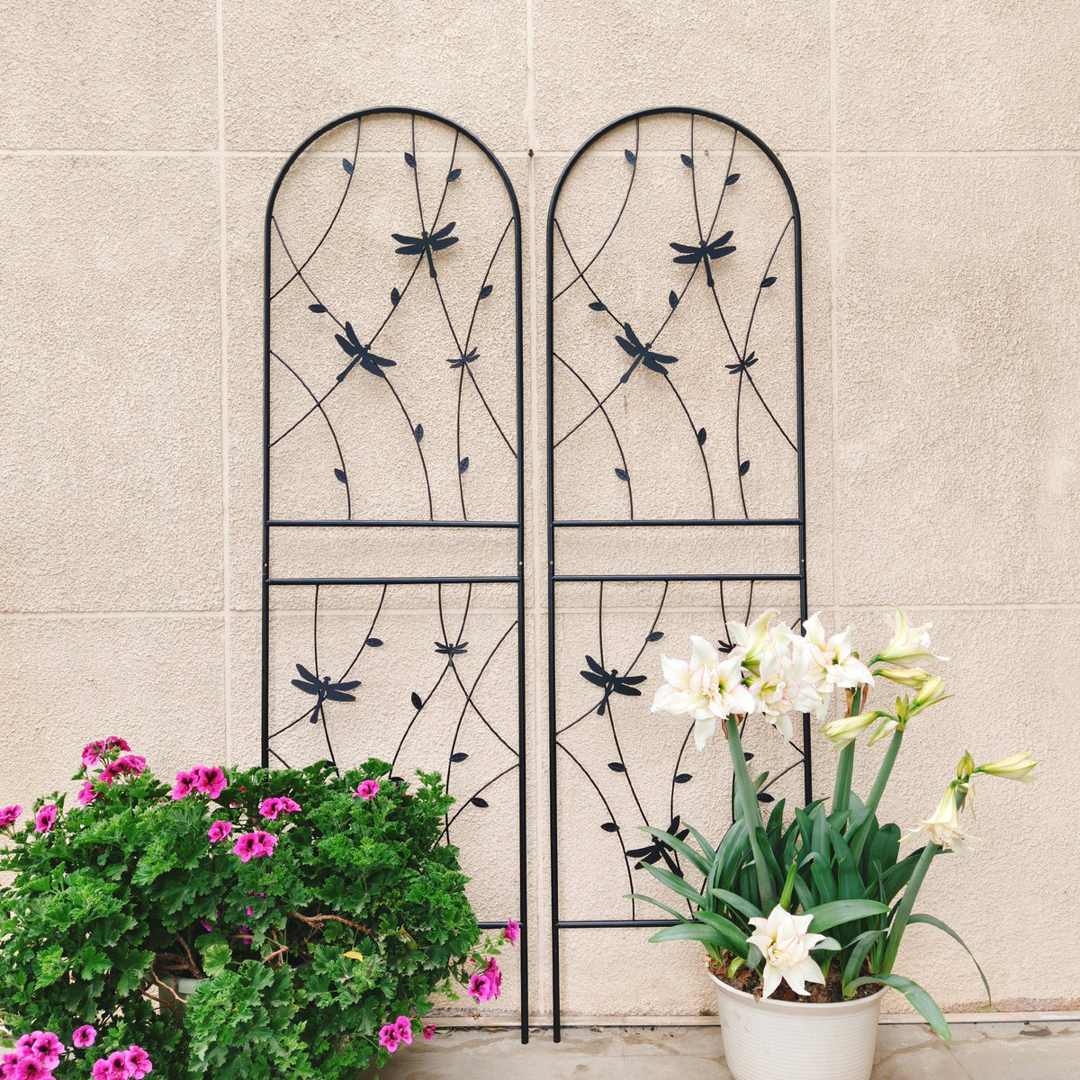 4 Pack Metal Garden Trellis for Climbing Plants, view 10