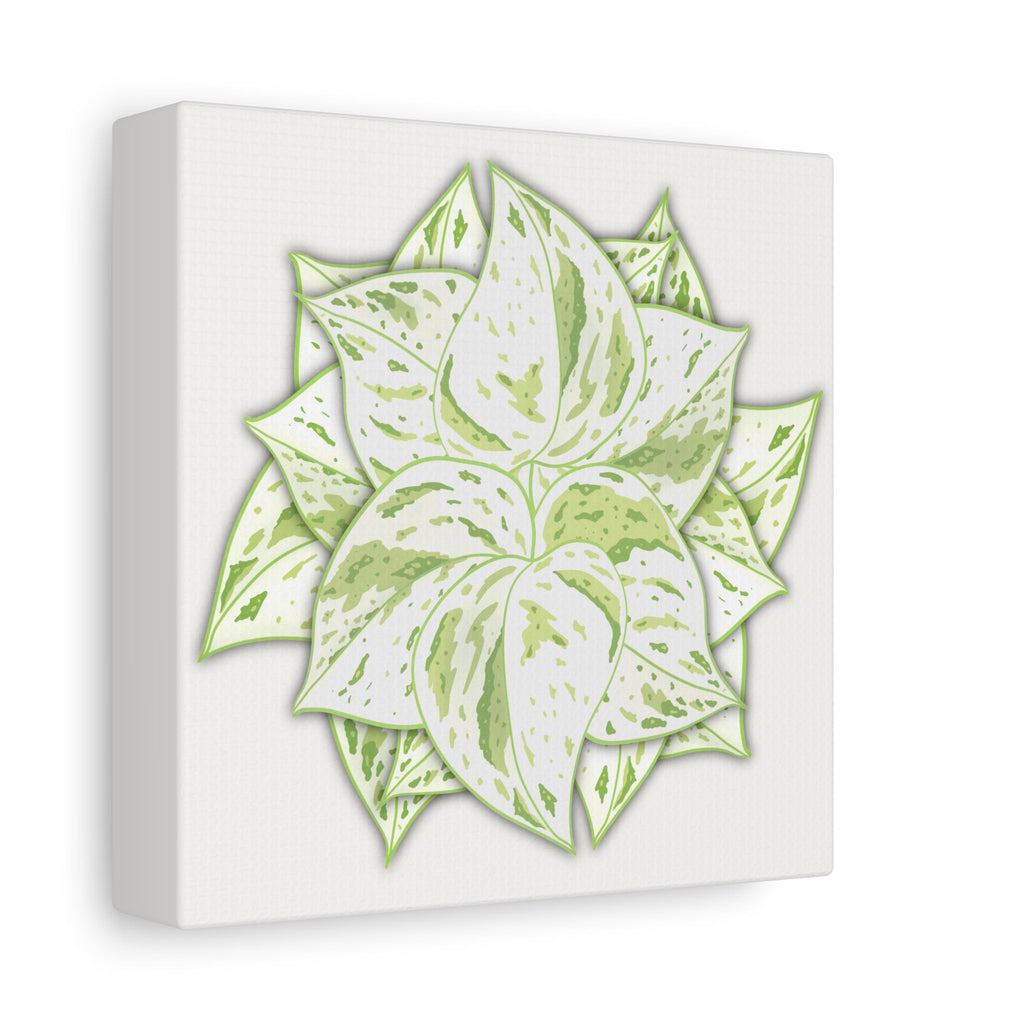 Snow Queen Pothos Canvas Print – Botanical Wall Art