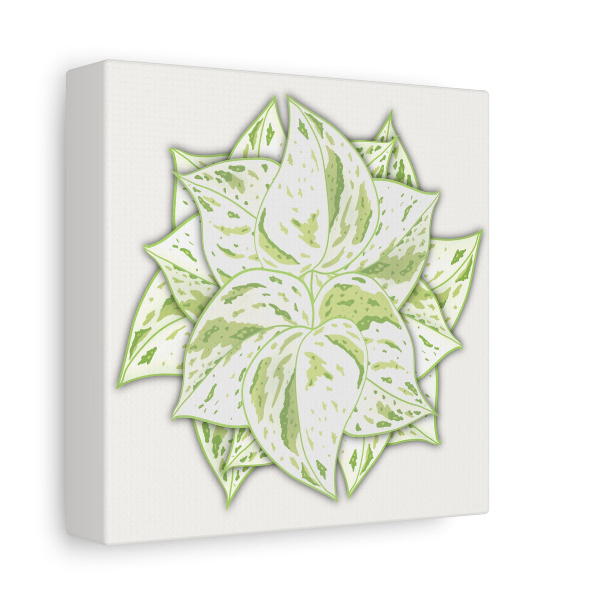 Snow Queen Pothos Canvas Print – Botanical Wall Art