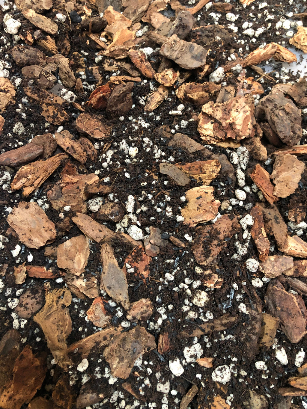 HOYA Premium Potting Mix, view 3