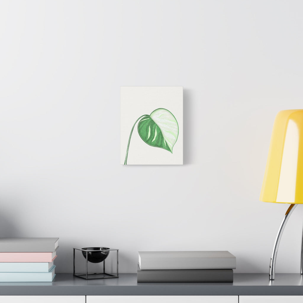 Monstera Albo Canvas Print – Botanical Wall Art
