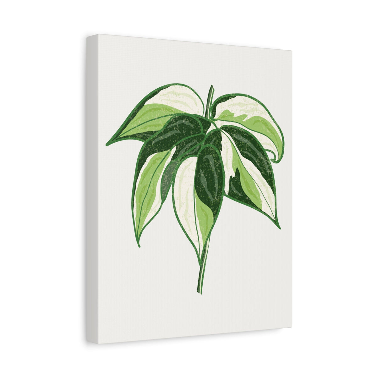 Philodendron Cream Splash Canvas Print – Botanical Wall Art