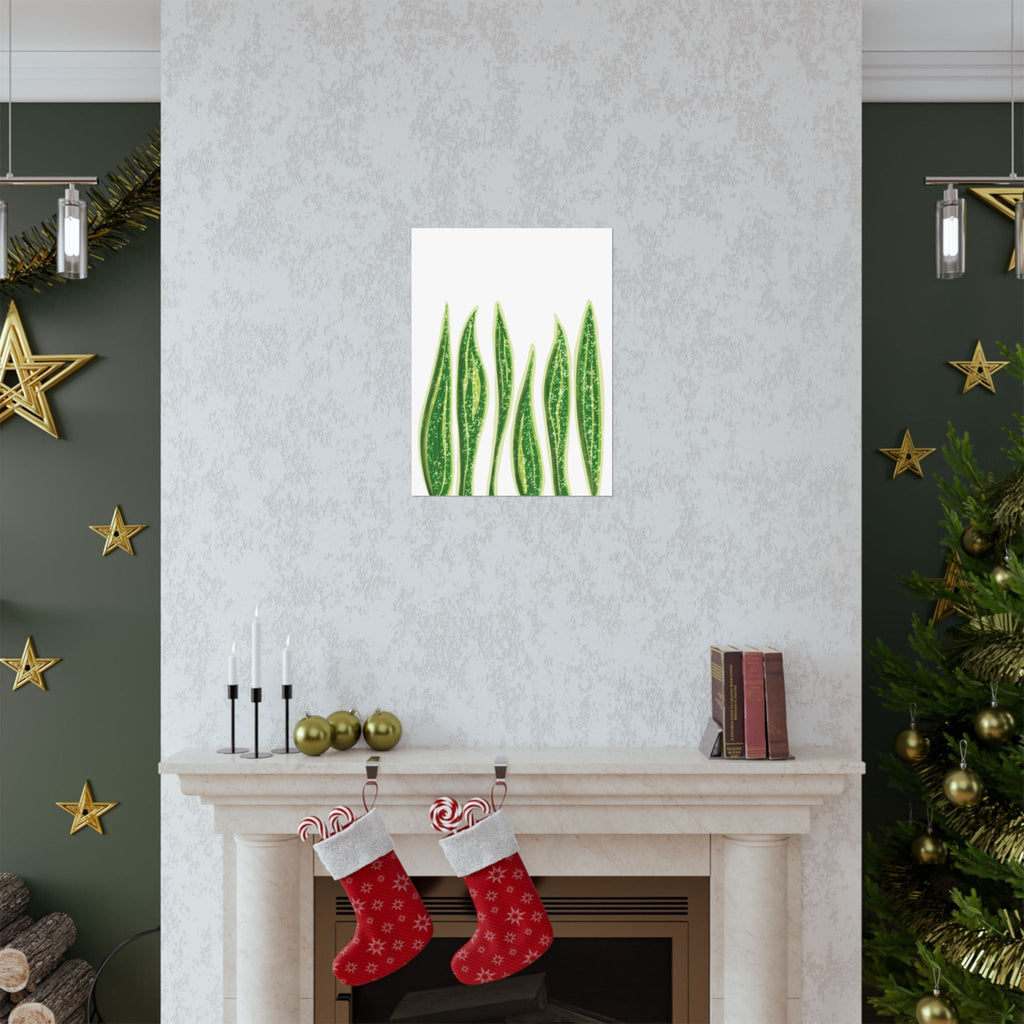 Snake Plant Botanical Print – Unframed Wall Art
