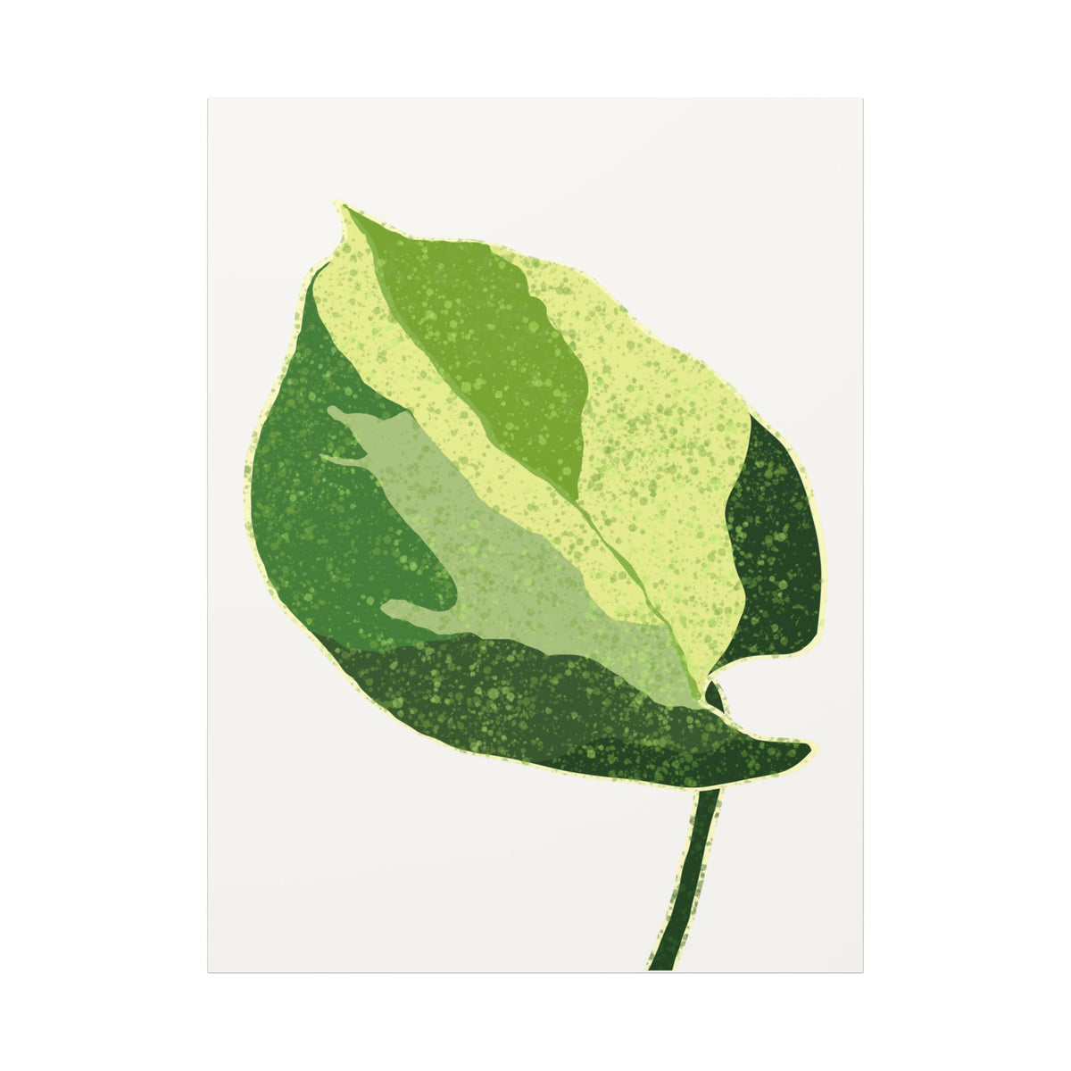 Manjula Pothos Illustrated Canvas Print – Botanical Wall Art, view 14