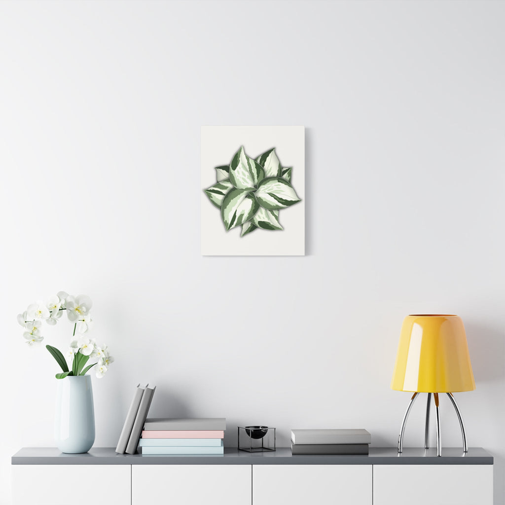 Manjula Pothos Canvas Print – Botanical Wall Art