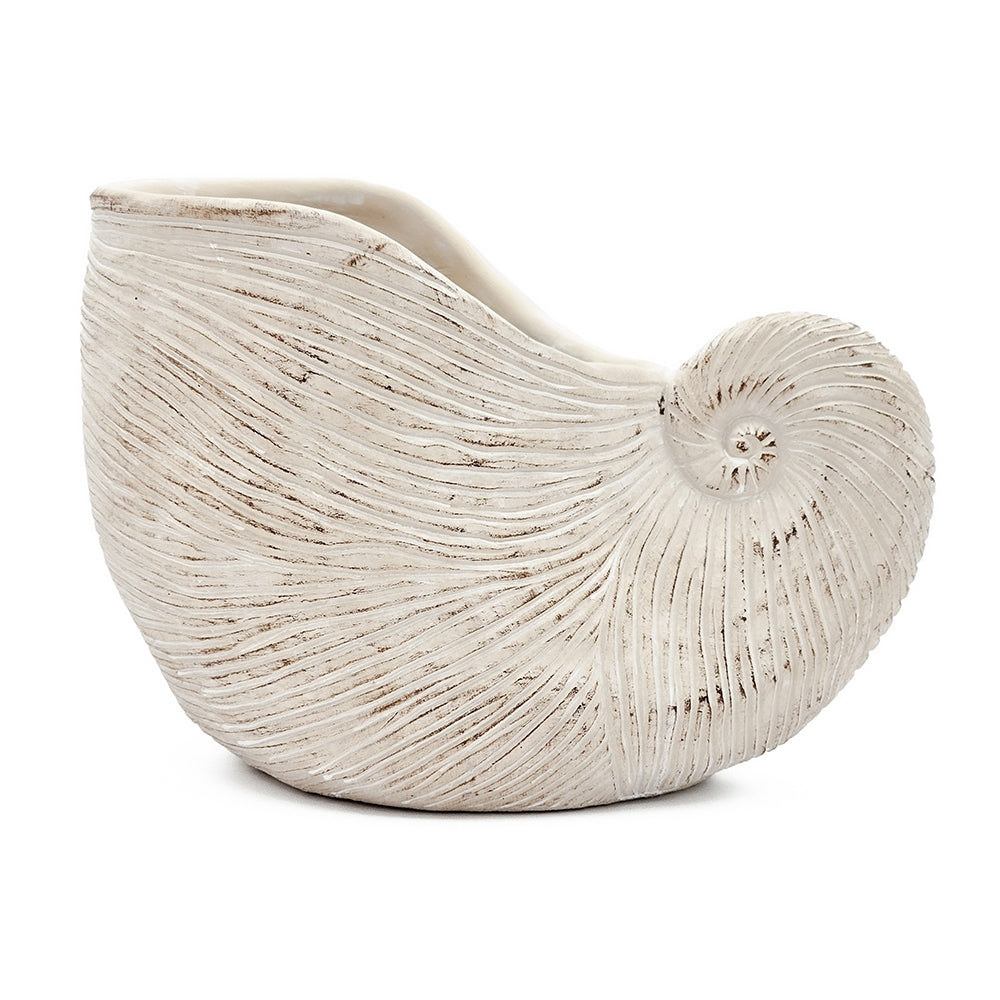 11.5x6.7x7.7" Sand and Cement Nautilus Shell Planter with Textured Beige Finish, view 5