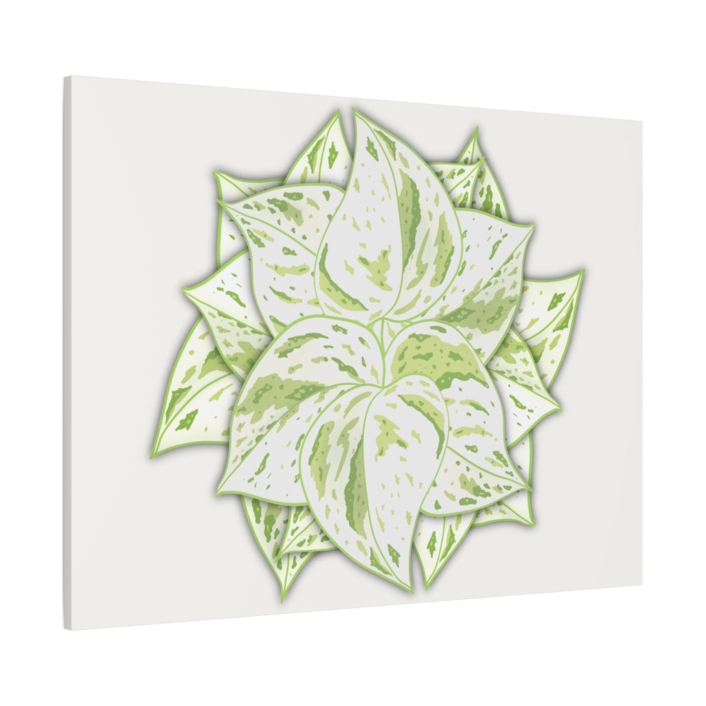 Snow Queen Pothos Canvas Print – Botanical Wall Art