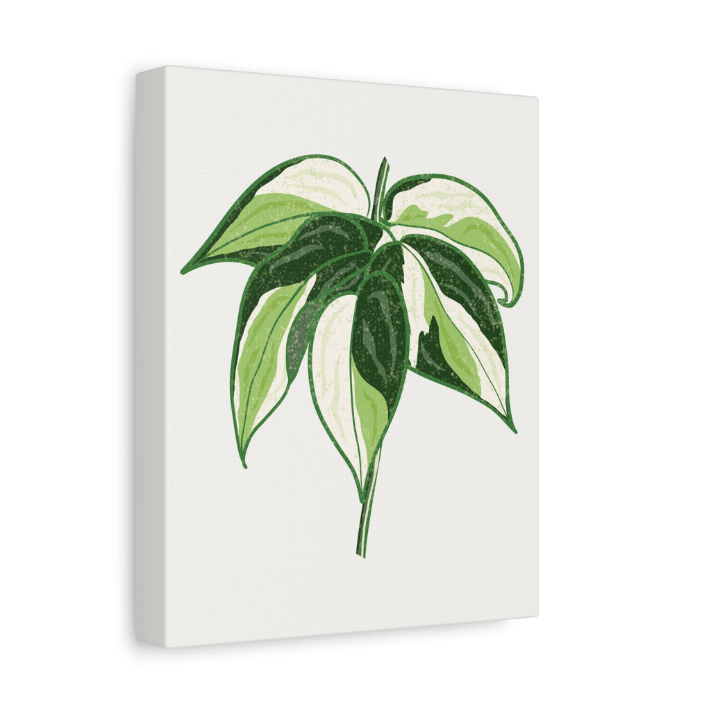 Philodendron Cream Splash Canvas Print – Botanical Wall Art