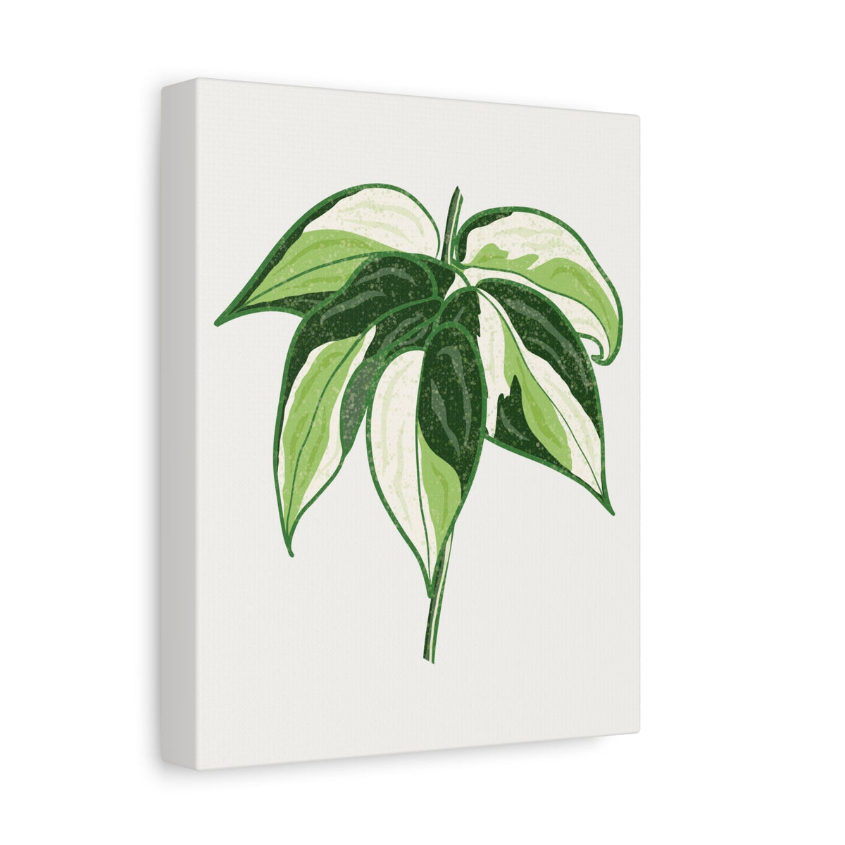 Philodendron Cream Splash Canvas Print – Botanical Wall Art