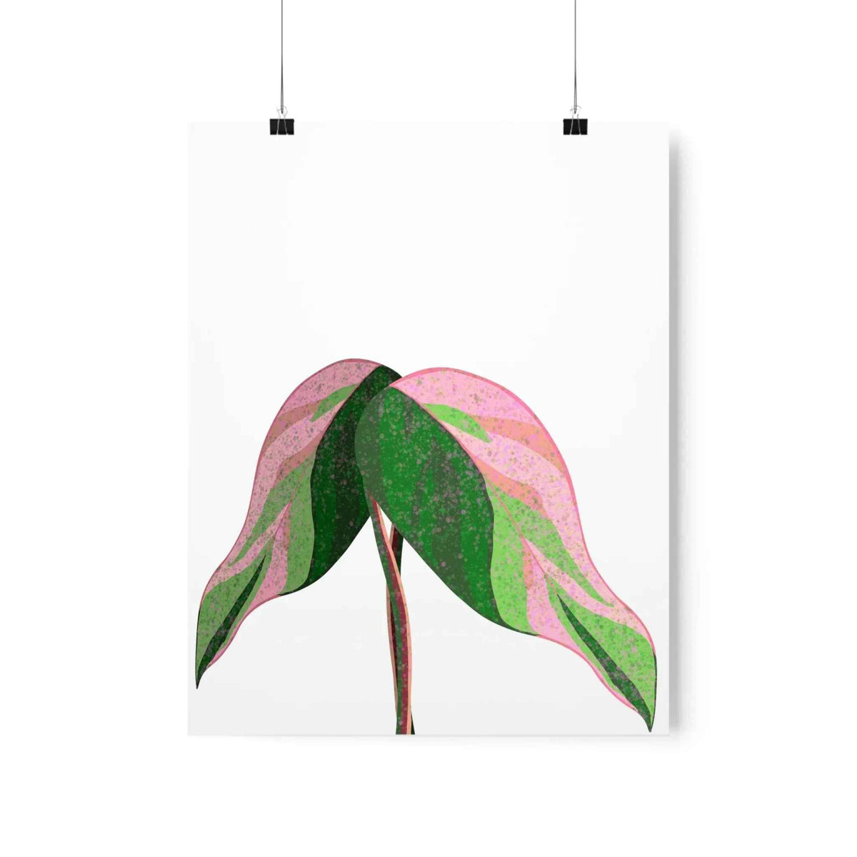 Pink Princess Philodendron Botanical Print – Unframed Wall Art, view 9