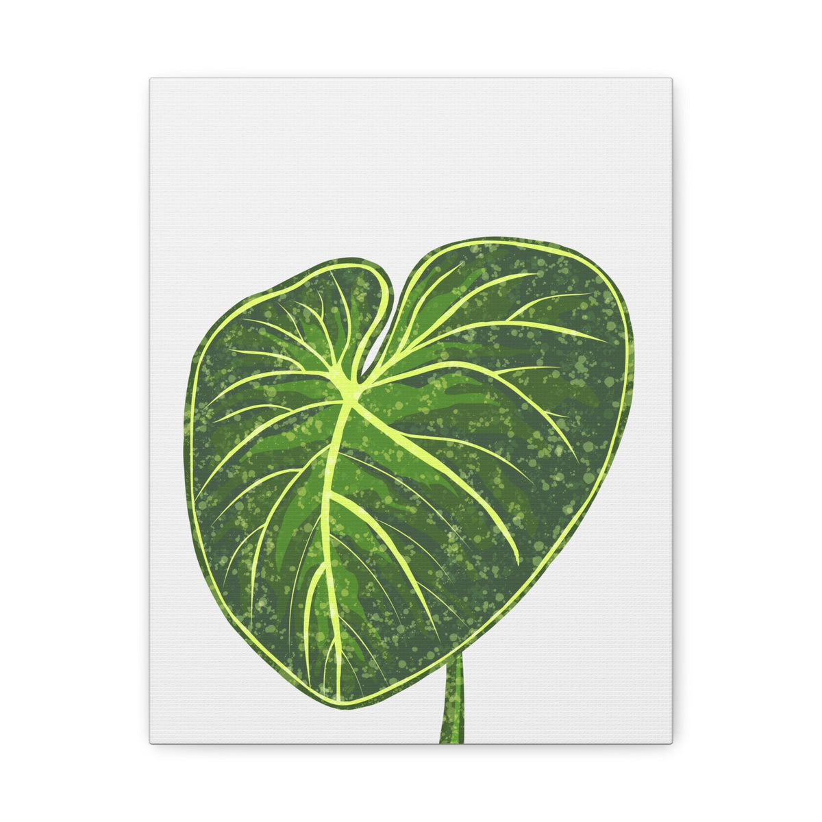Philodendron Gloriosum Canvas Print – Botanical Wall Art, view 9