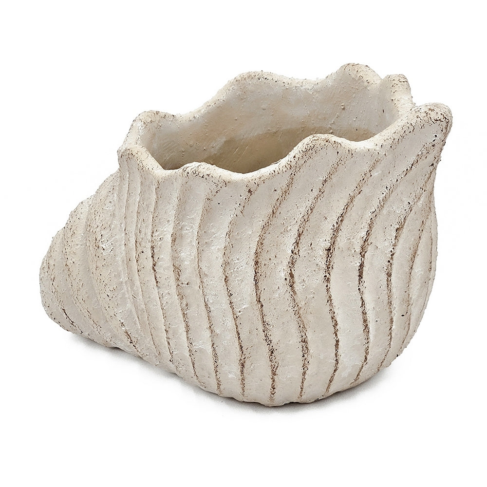 11.5x7x7' Sand and Cement Nautilus Shell Planter with Textured Beige Finish, view 6
