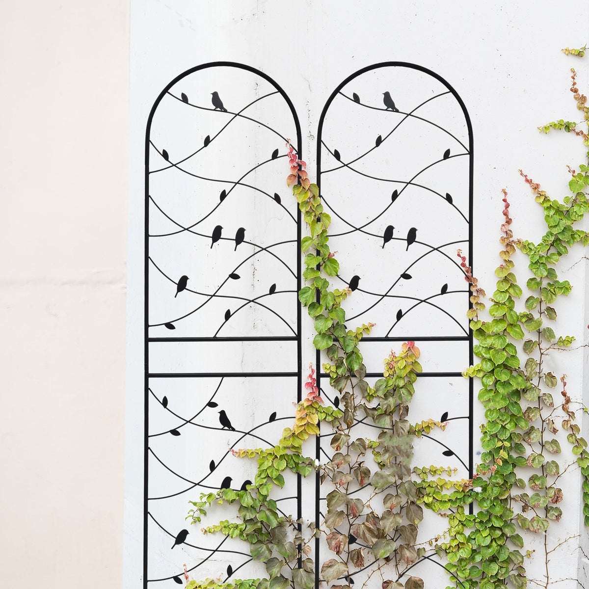 2 Pack Metal Garden Trellis 71" x 19.7" Rustproof Outdoor Plant Support, view 6