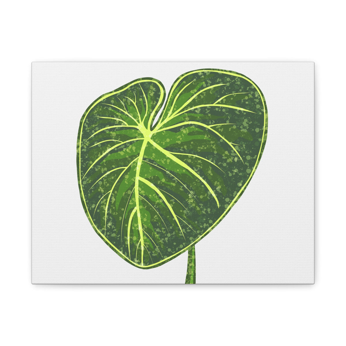 Philodendron Gloriosum Canvas Print – Botanical Wall Art, view 2