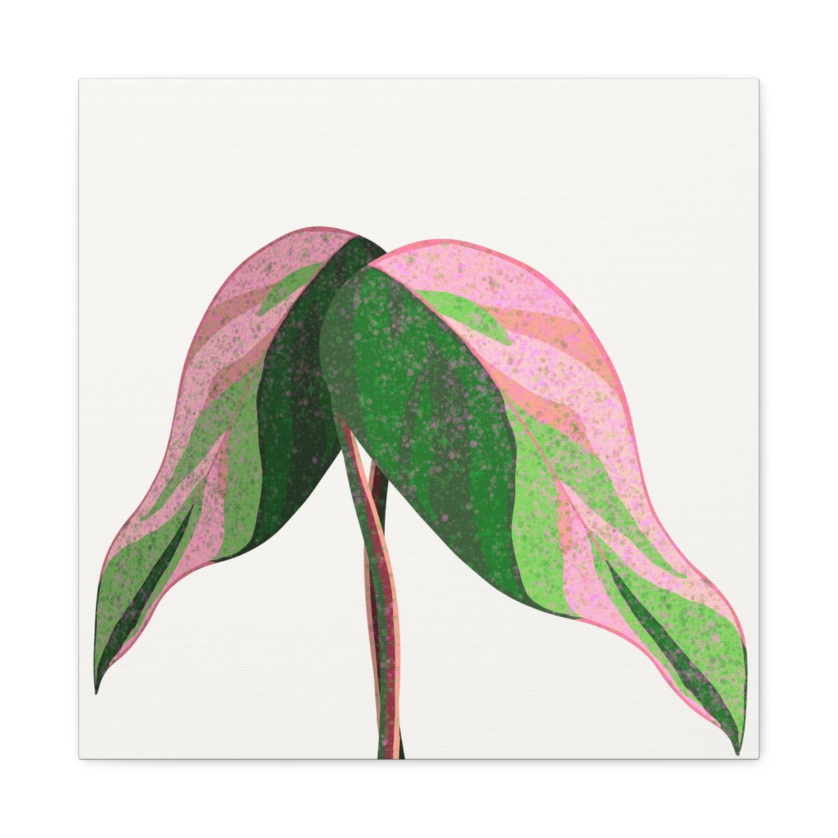 Pink Princess Philodendron Canvas Print – Botanical Wall Art, view 10