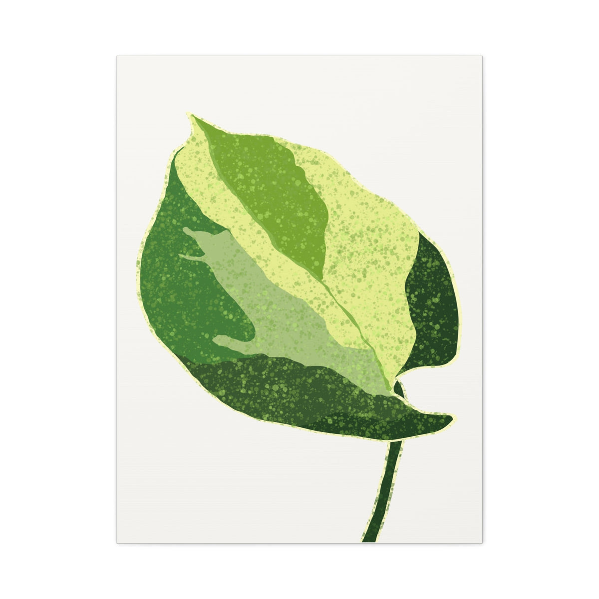 Manjula Pothos Illustrated Canvas Print – Botanical Wall Art, view 13