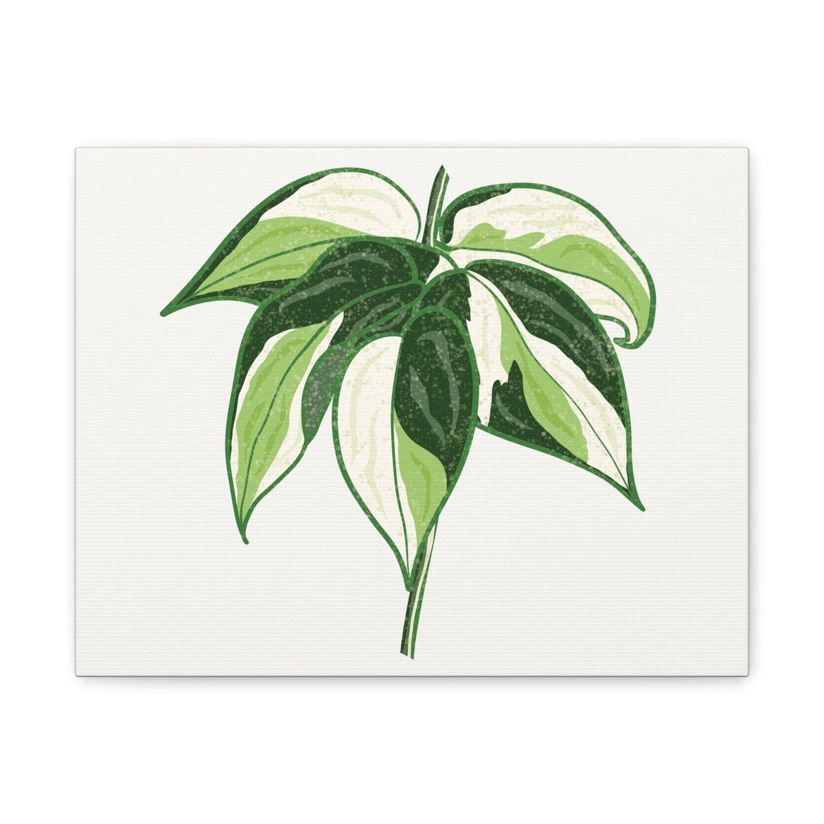 Philodendron Cream Splash Canvas Print – Botanical Wall Art, view 2