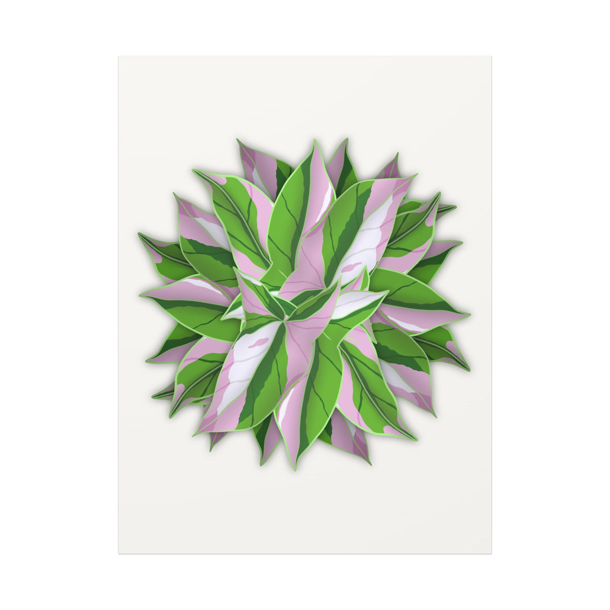 Syngonium Tricolor Pattern Canvas Print – Botanical Wall Art, view 14