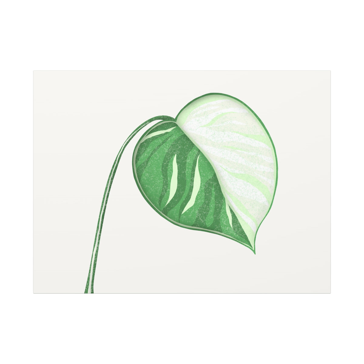 Monstera Albo Canvas Print – Botanical Wall Art, view 7