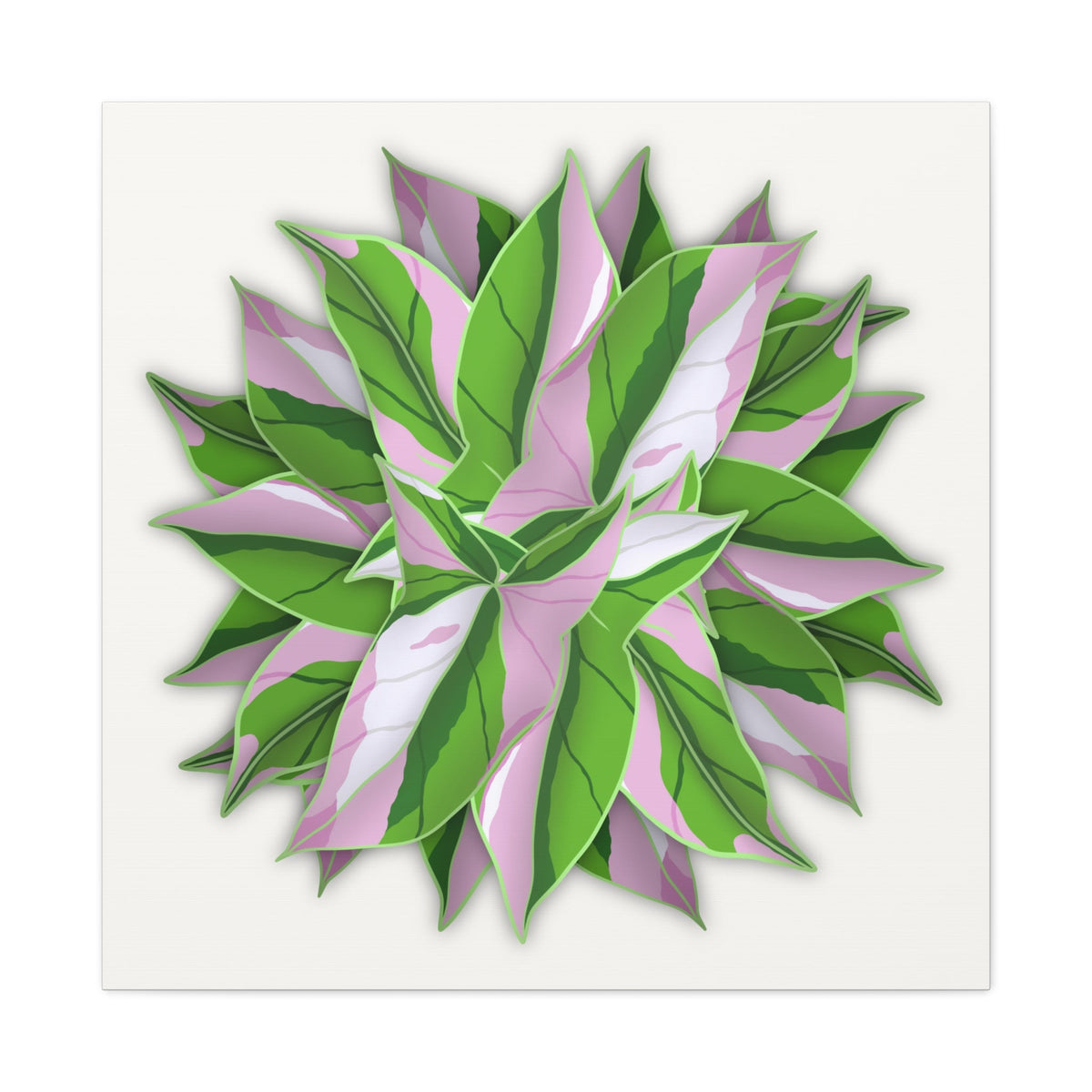 Syngonium Tricolor Pattern Canvas Print – Botanical Wall Art
