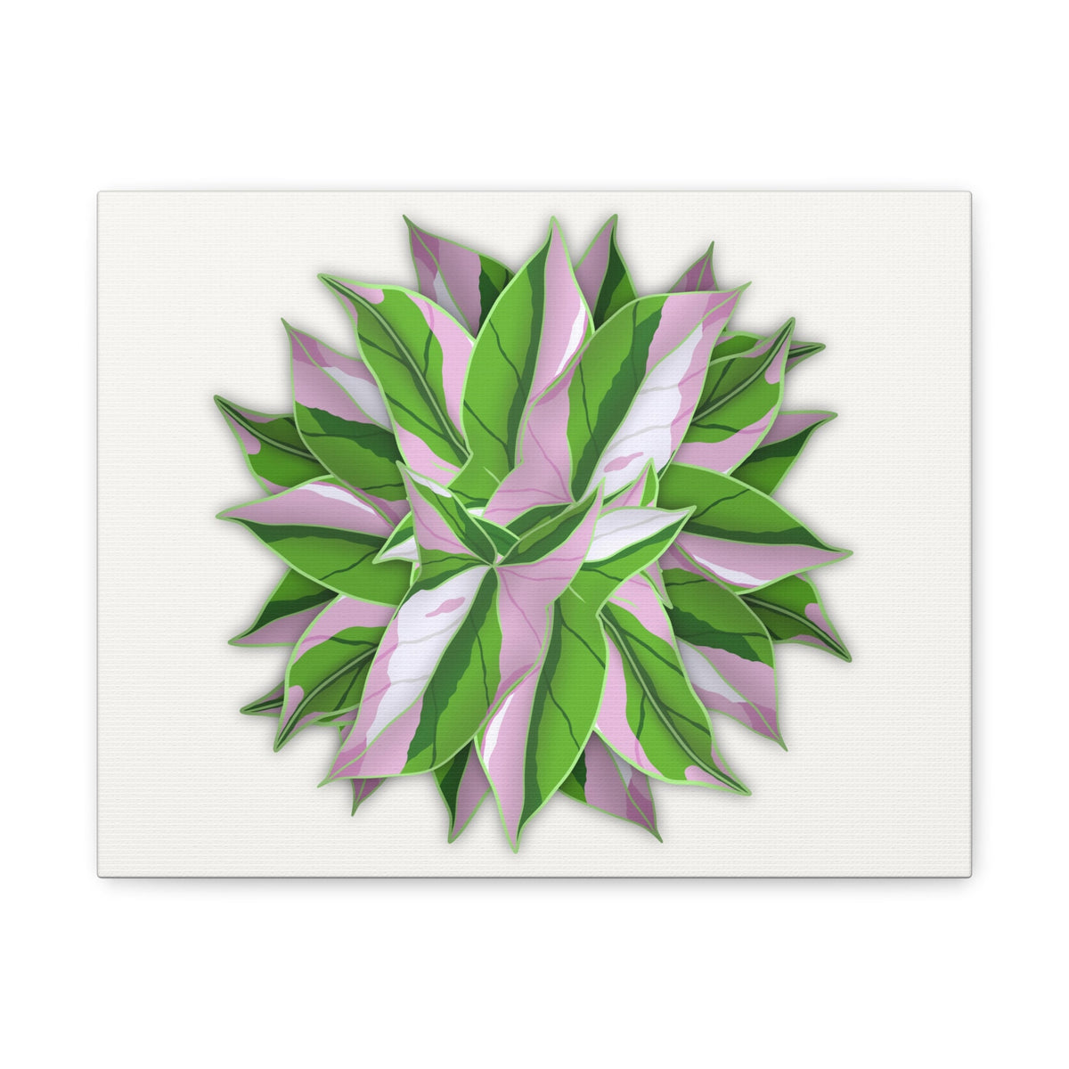 Syngonium Tricolor Pattern Canvas Print – Botanical Wall Art, view 2