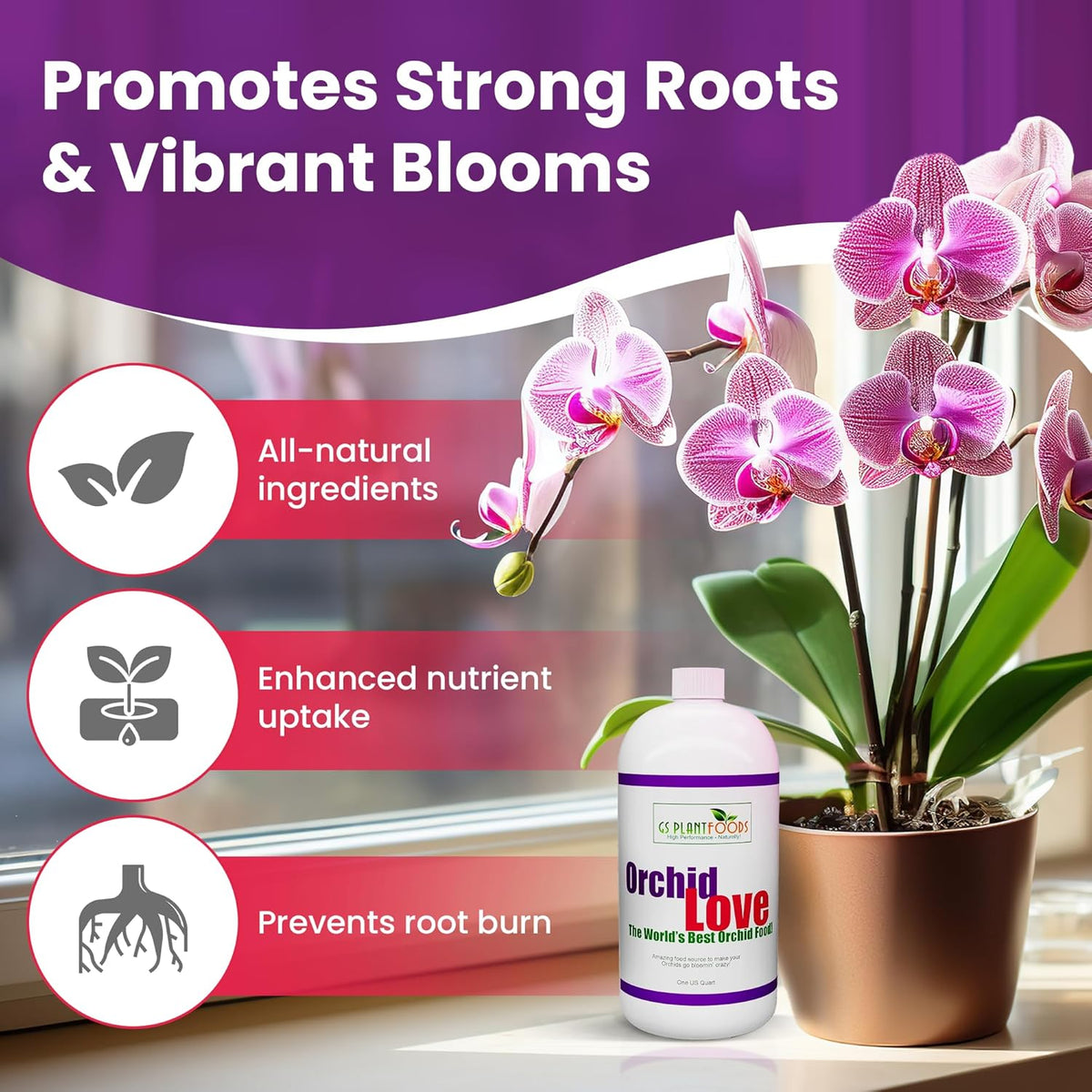 Orchid Love- The World's Greatest Orchid Food!, view 5