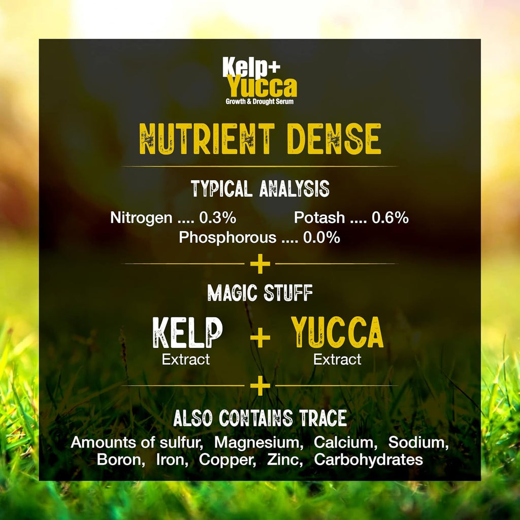 Kelp + Yucca – Soil Moisture & Root Enhancer | GS Plant Foods, view 5
