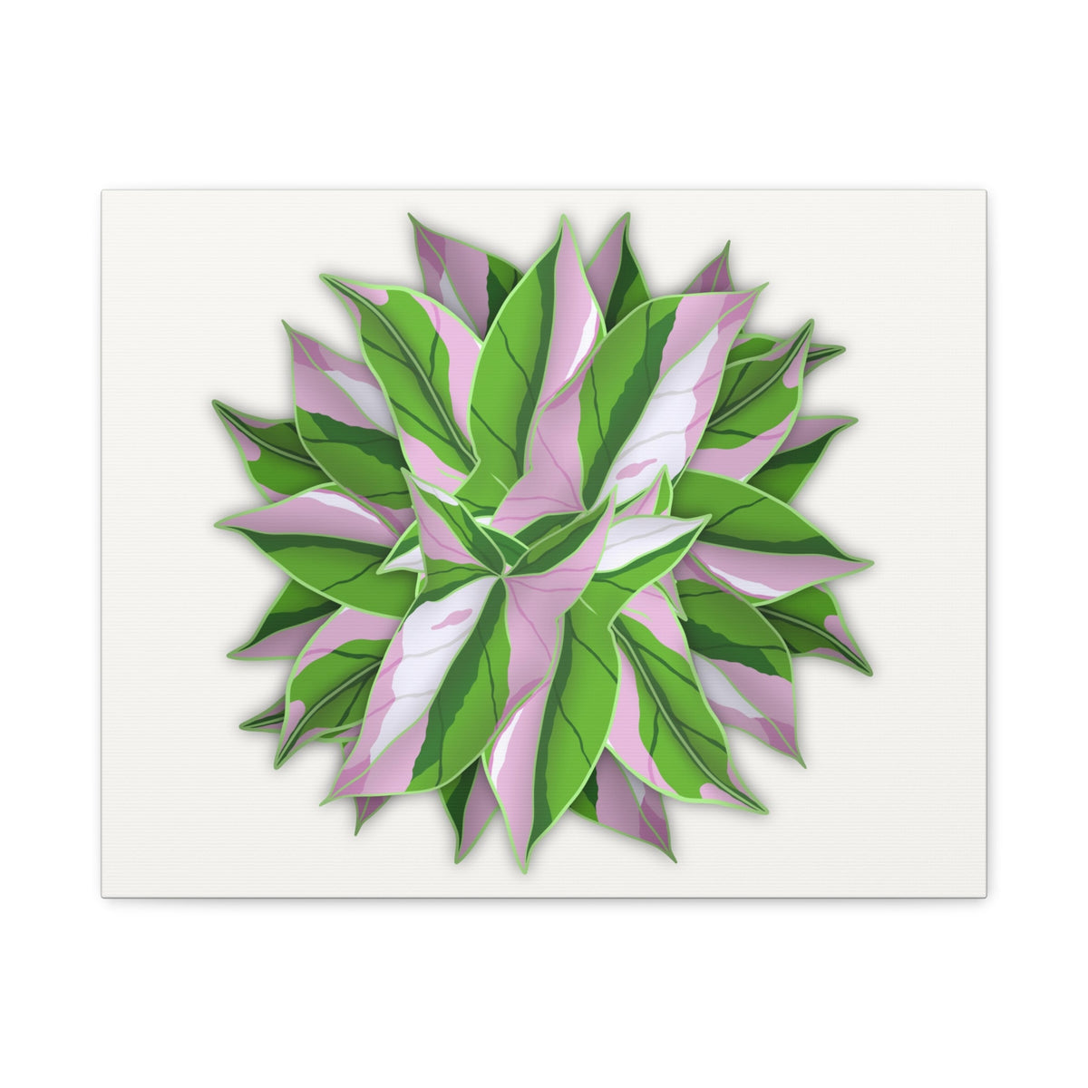 Syngonium Tricolor Pattern Canvas Print – Botanical Wall Art, view 3