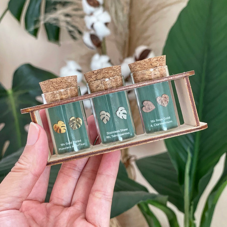 Custom Etched Propagation Stand + 3 Set Tiny Houseplant Earring Studs