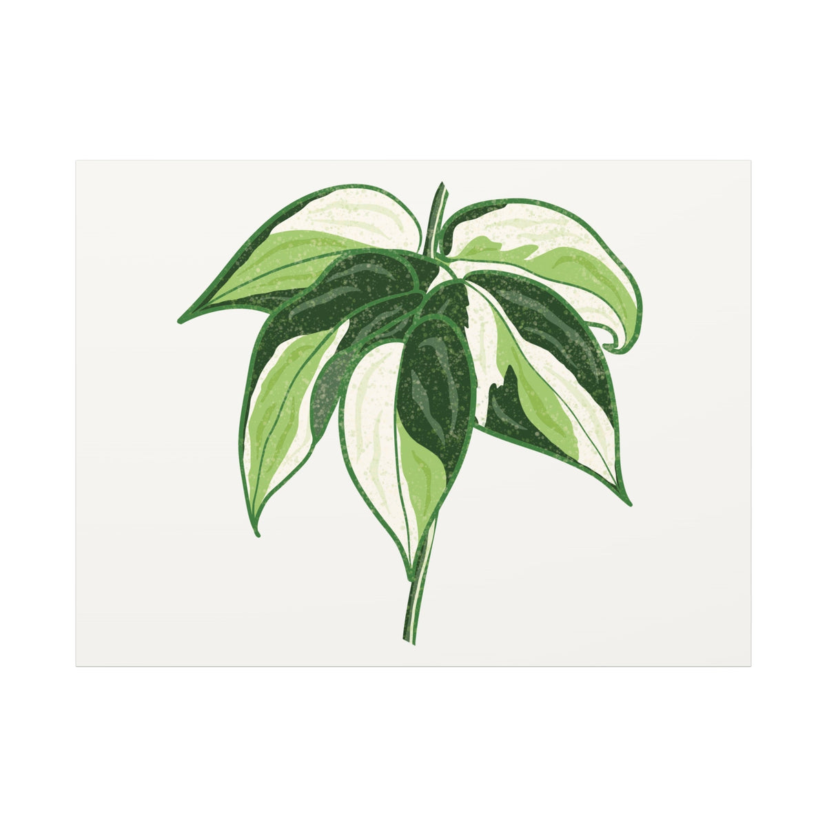 Philodendron Cream Splash Canvas Print – Botanical Wall Art, view 7