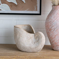 11.5x6.7x7.7" Sand and Cement Nautilus Shell Planter with Textured Beige Finish, view 2