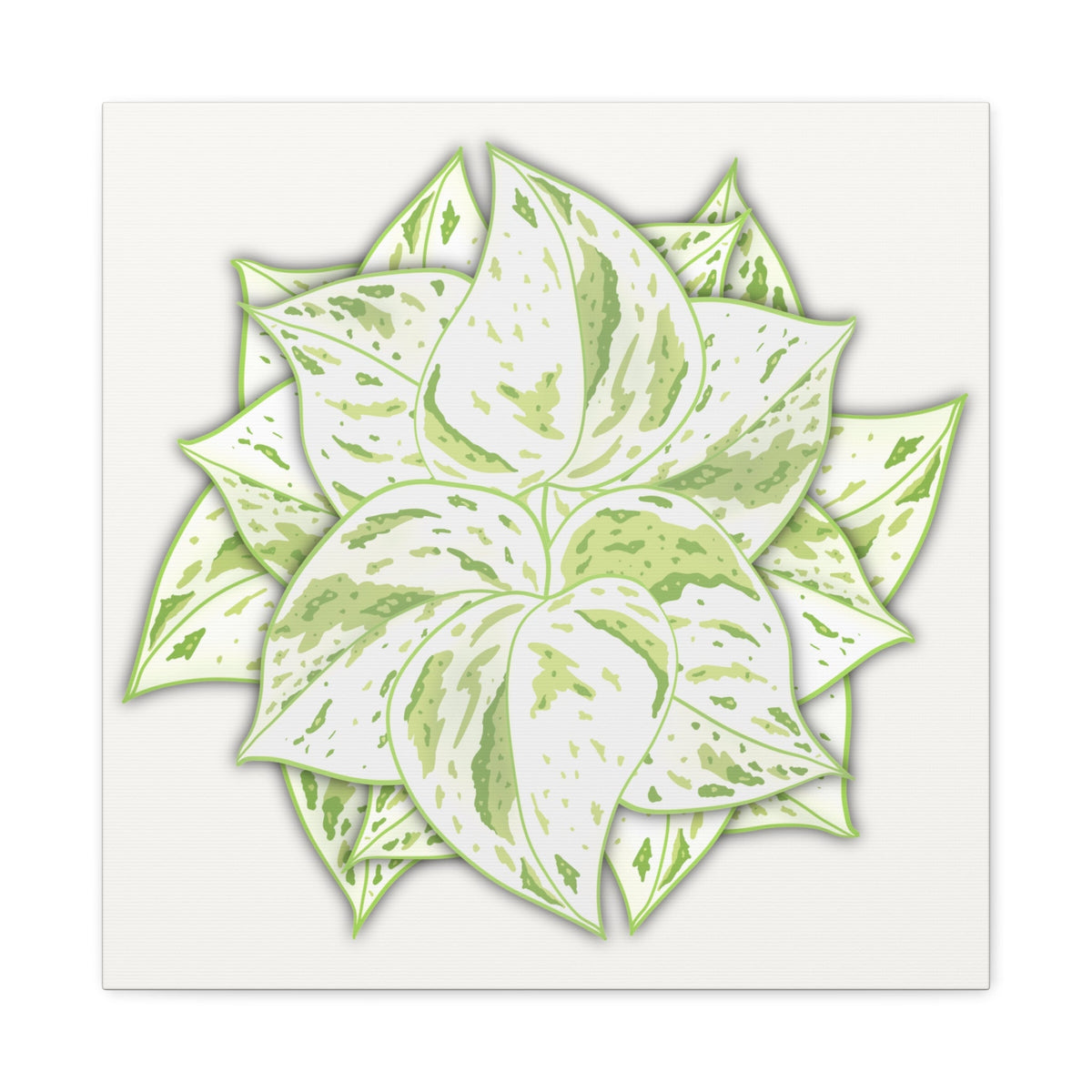 Snow Queen Pothos Canvas Print – Botanical Wall Art