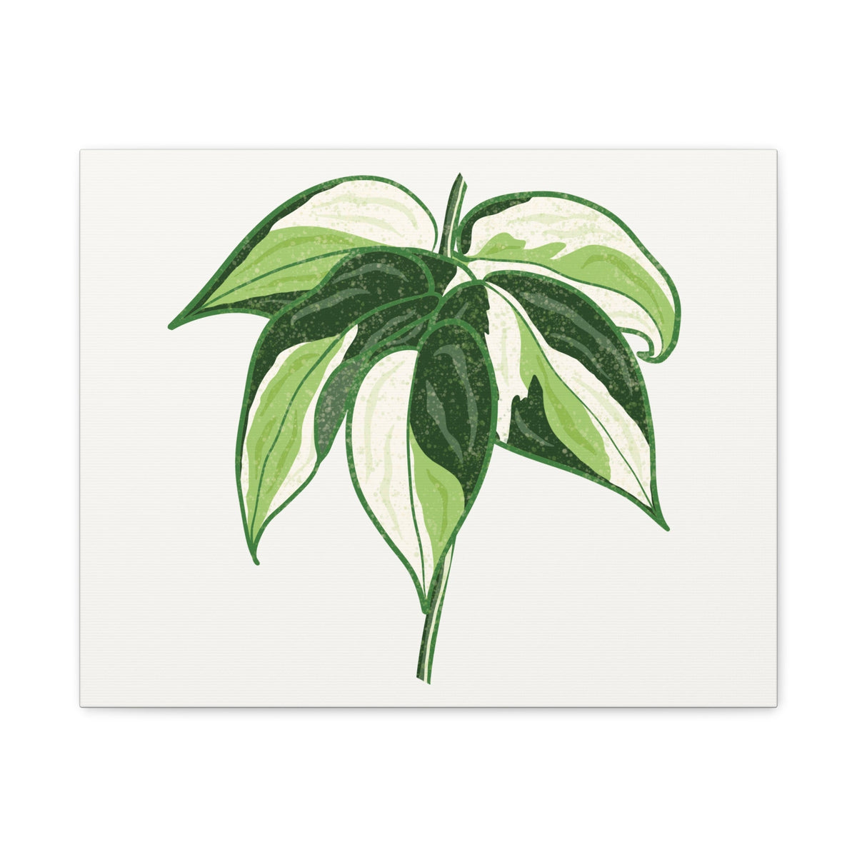 Philodendron Cream Splash Canvas Print – Botanical Wall Art, view 3