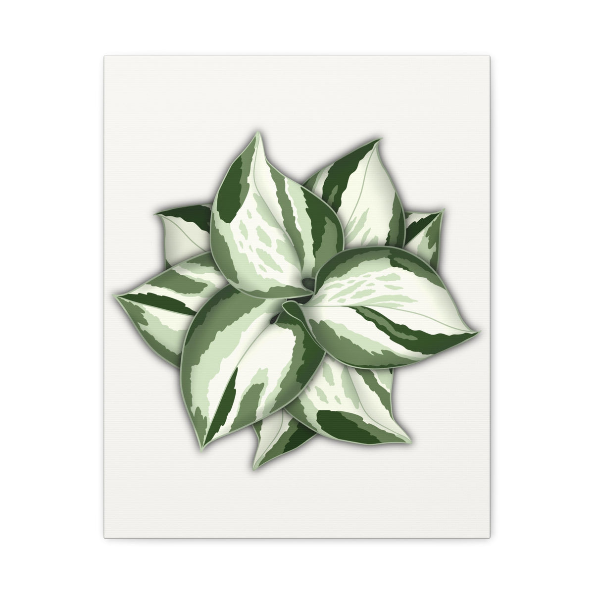 Manjula Pothos Canvas Print – Botanical Wall Art, view 10
