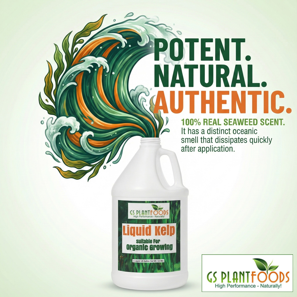 Organic Liquid Kelp Seaweed, view 6