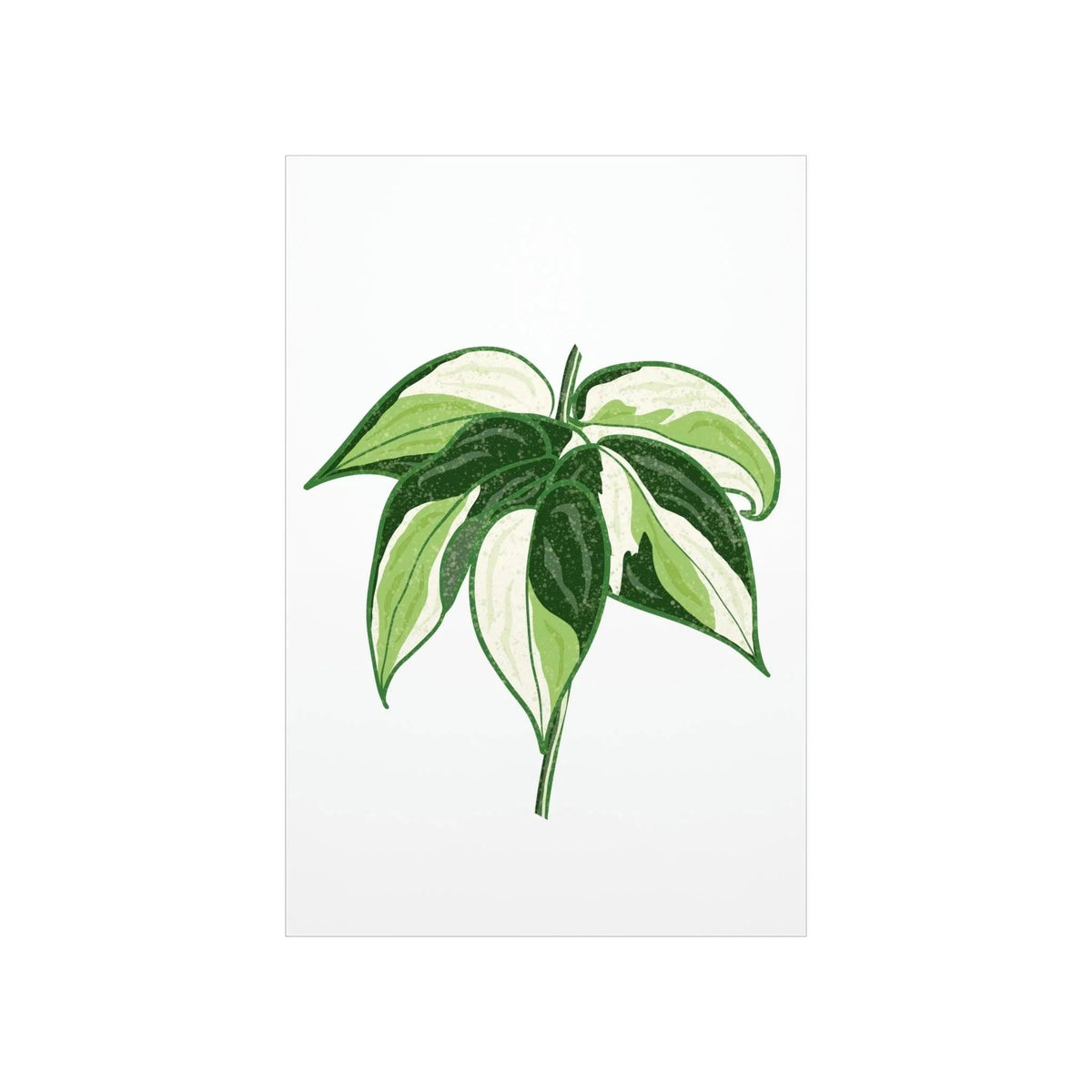 Philodendron Cream Splash Botanical Print – Unframed Wall Art