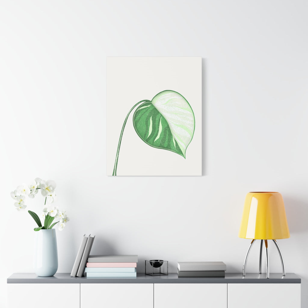 Monstera Albo Canvas Print – Botanical Wall Art